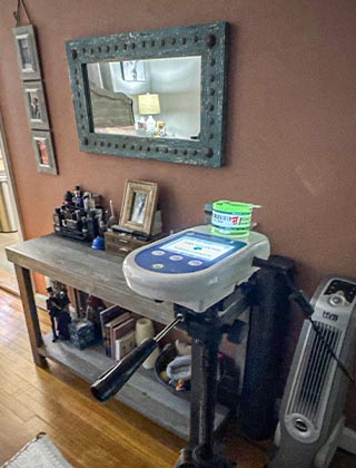 Mold Testing Mold Testing