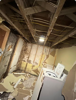 Mold After a Hurricane: Why Basements & Attics Suffer Most